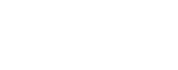 logo-zylk-blanco